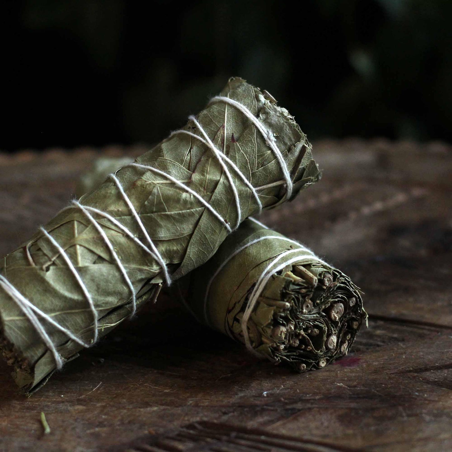 EUCALYPTUS SMUDGE BUNDLE