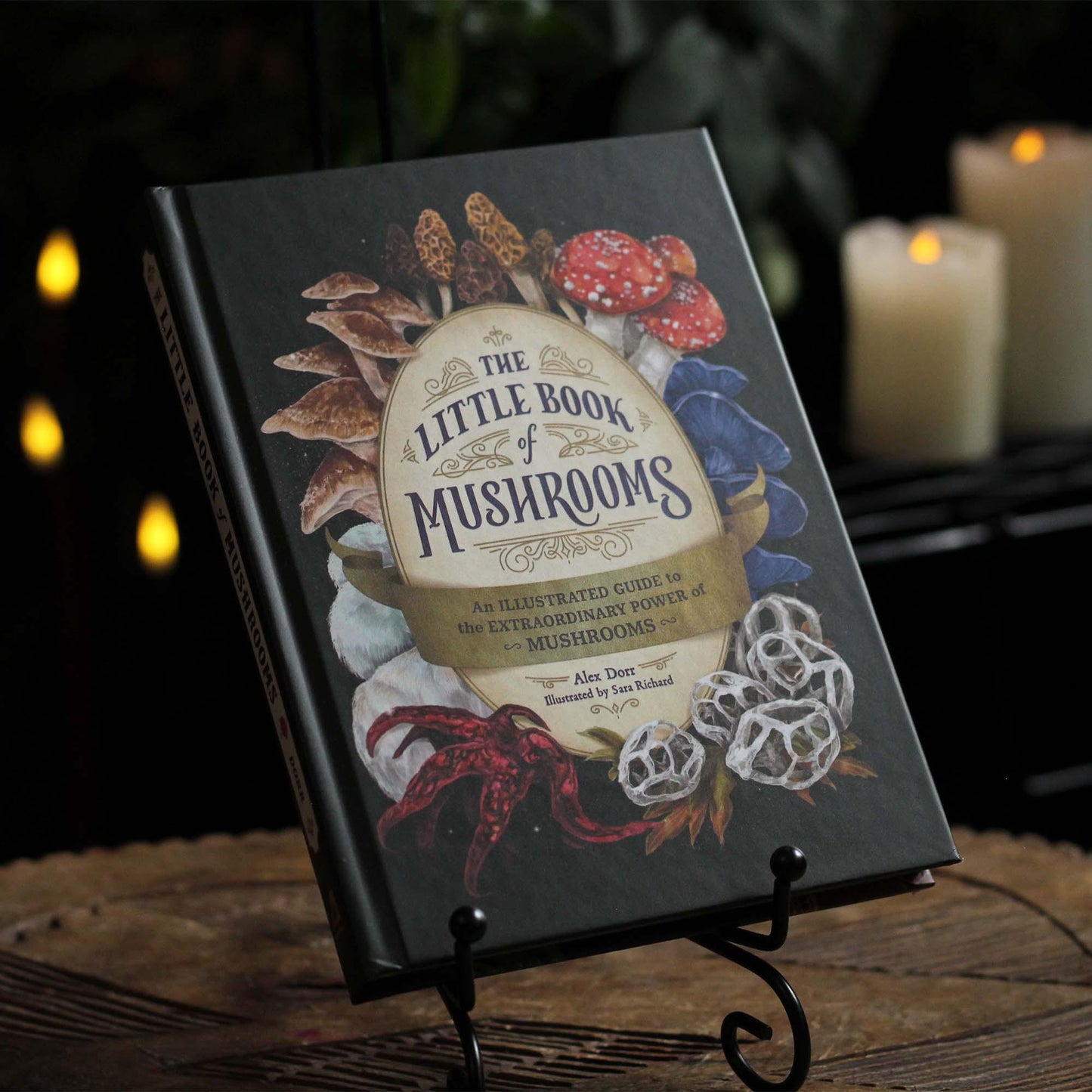Little Book of Mushrooms: An Illustrated Guide