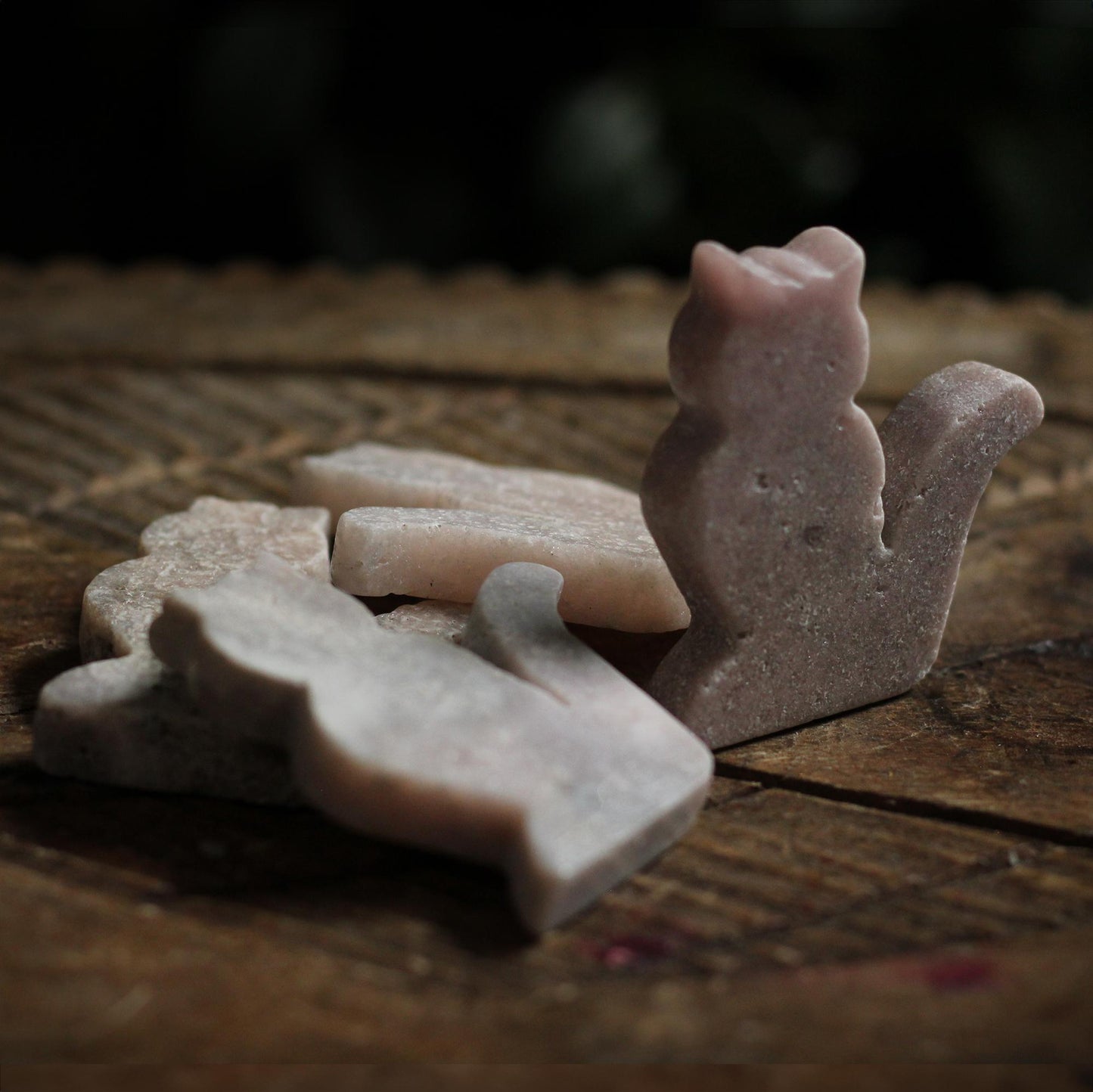CAT BODY