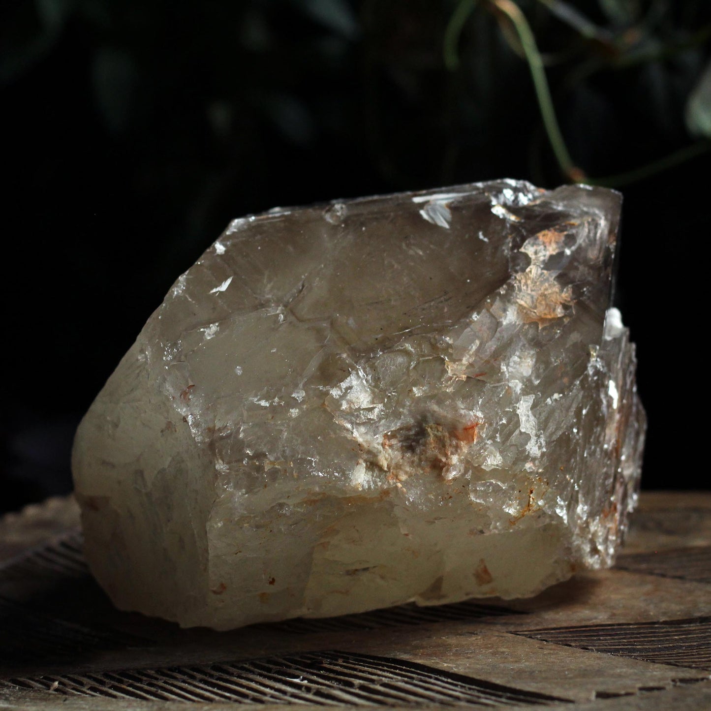 ALLIGATOR SMOKEY QUARTZ