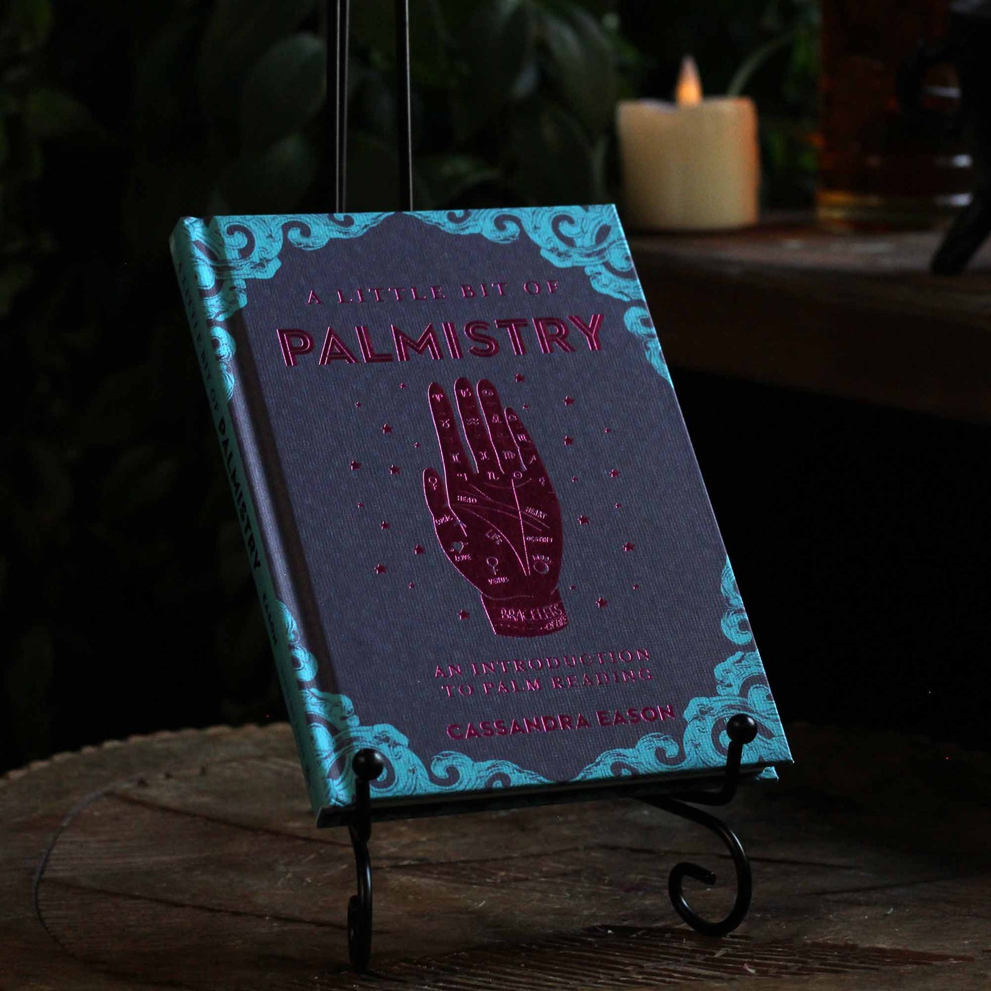 A LITTLE BIT OF PALMISTRY