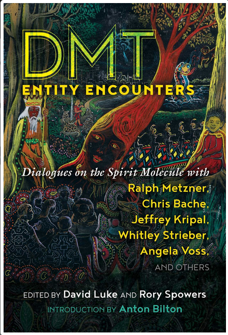 DMT ENTITY ENCOUNTERS