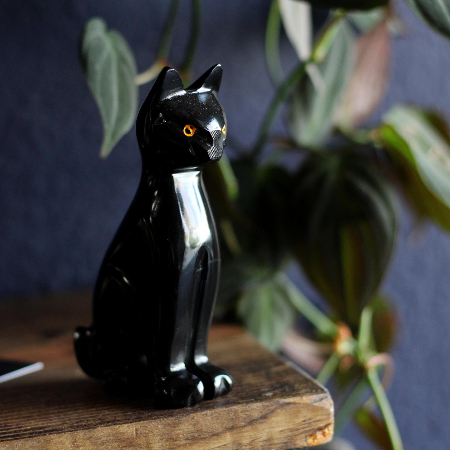 BLACK ONYX CAT