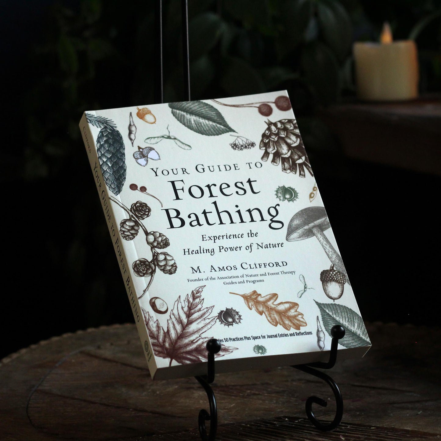 YOUR GUIDE TO FOREST BATHING (EXTENDED VERSION)