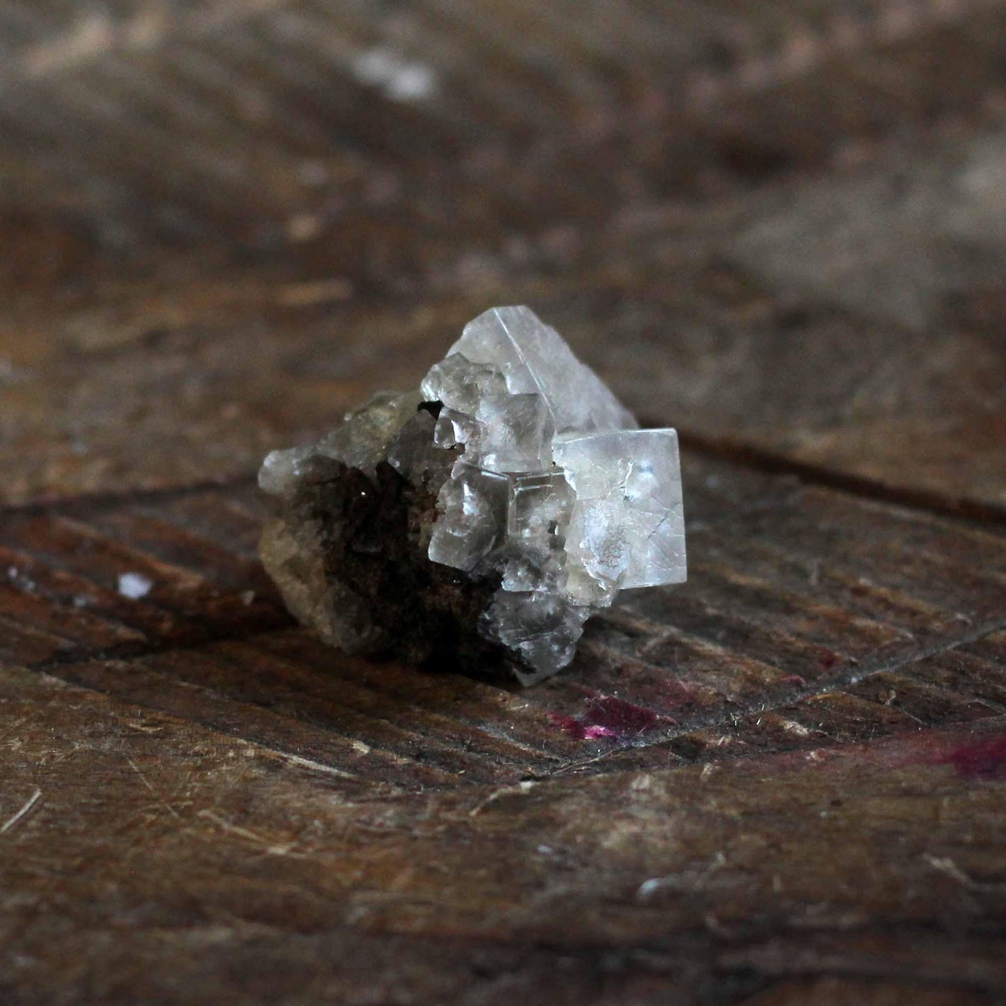 FLUORITE CLUSTER (RARE, LADY ANNABELLA)
