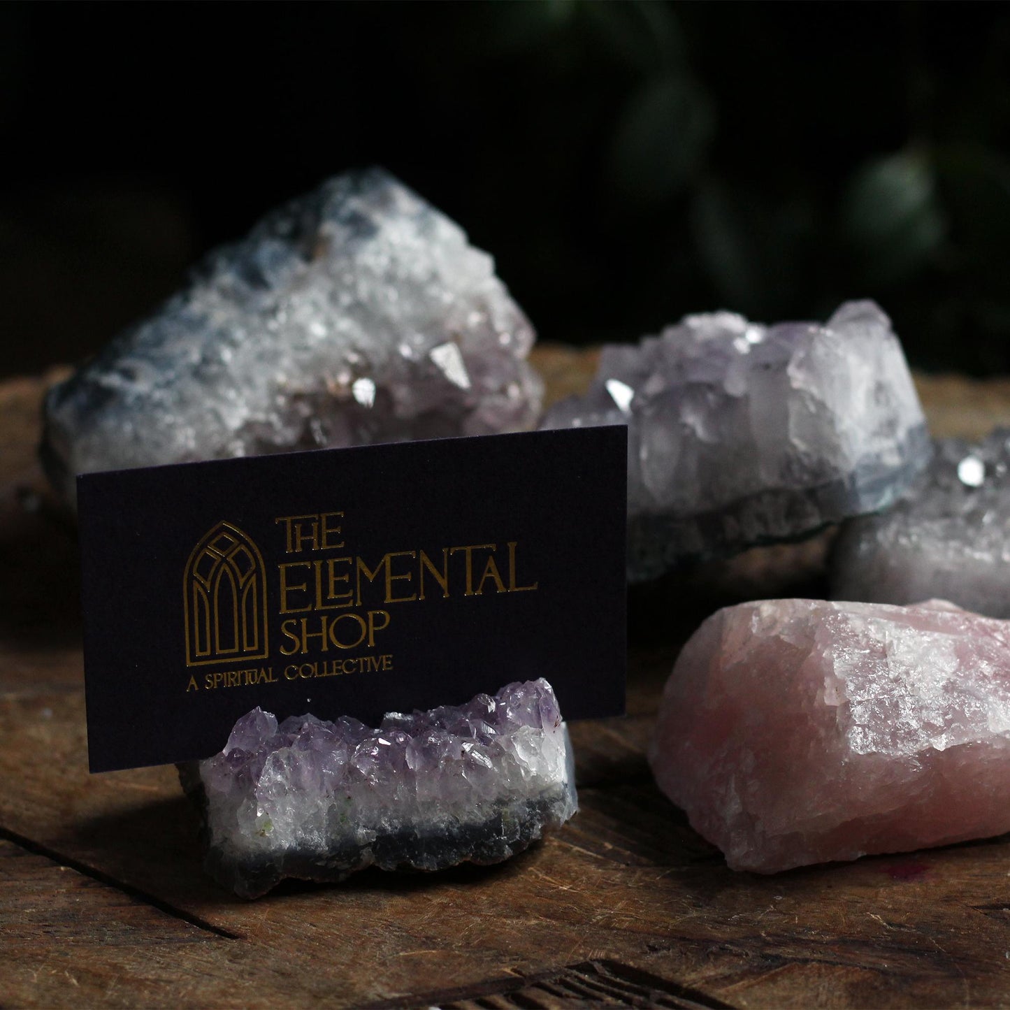 BUSINESS CARD HOLDERS