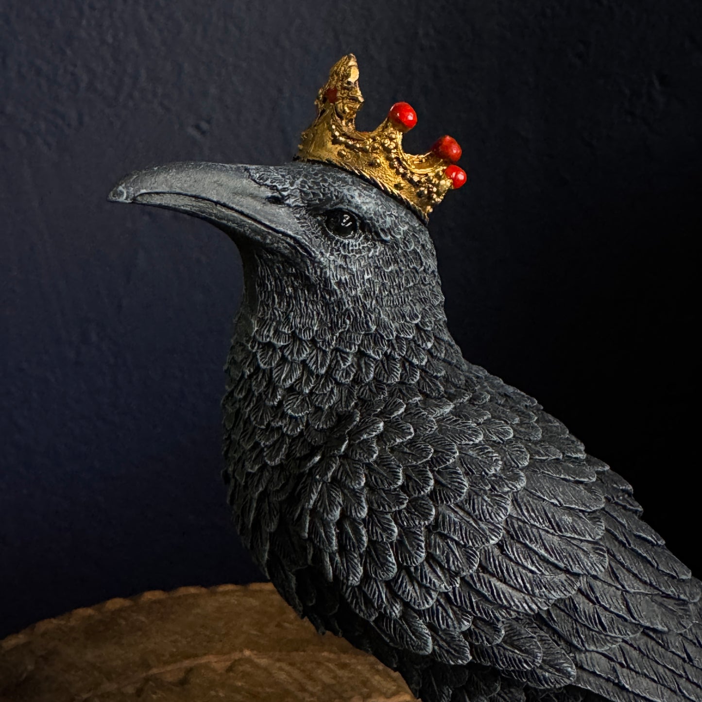 CROWNED RAVEN