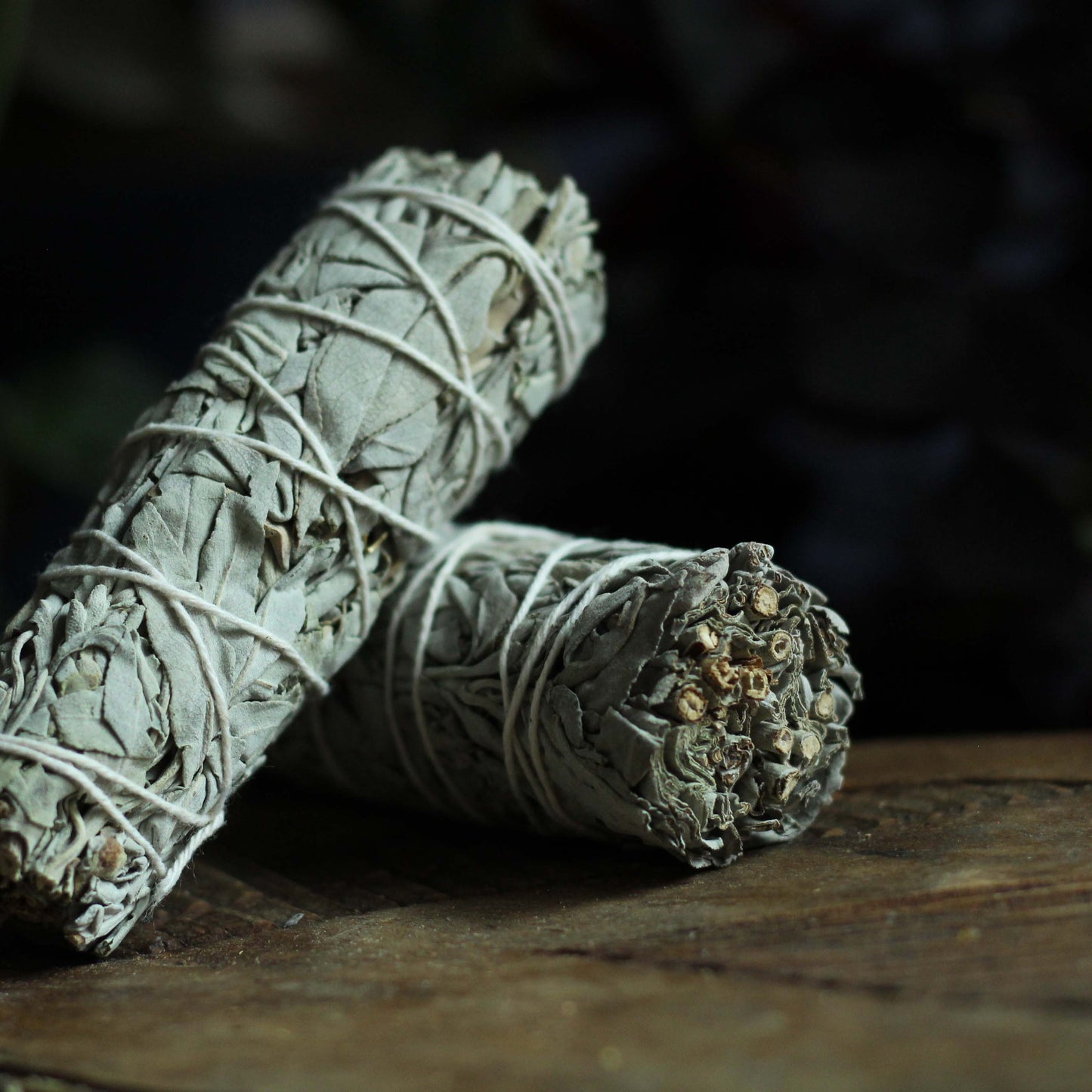 CA WHITE SAGE BUNDLES
