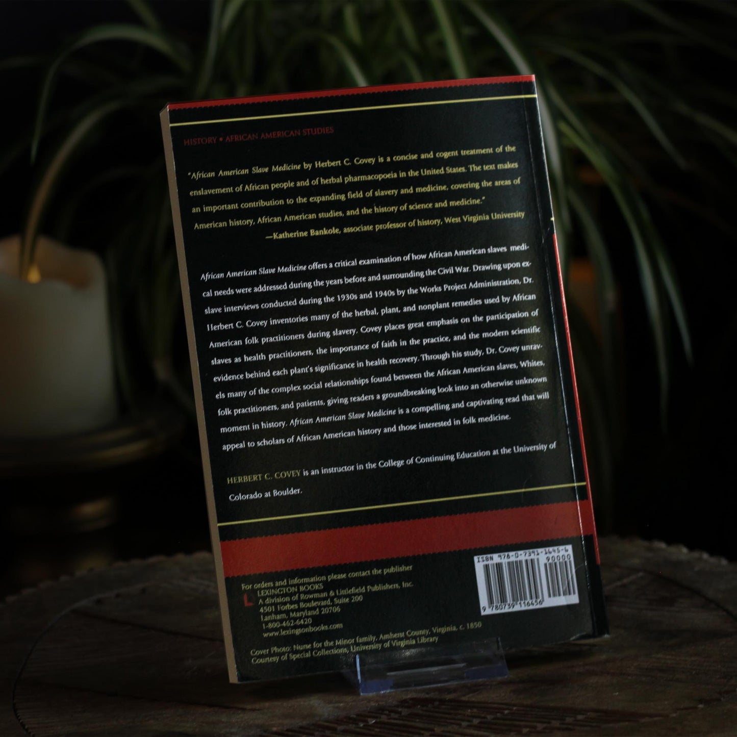 AFRICAN AMERICAN SLAVE MEDICINE