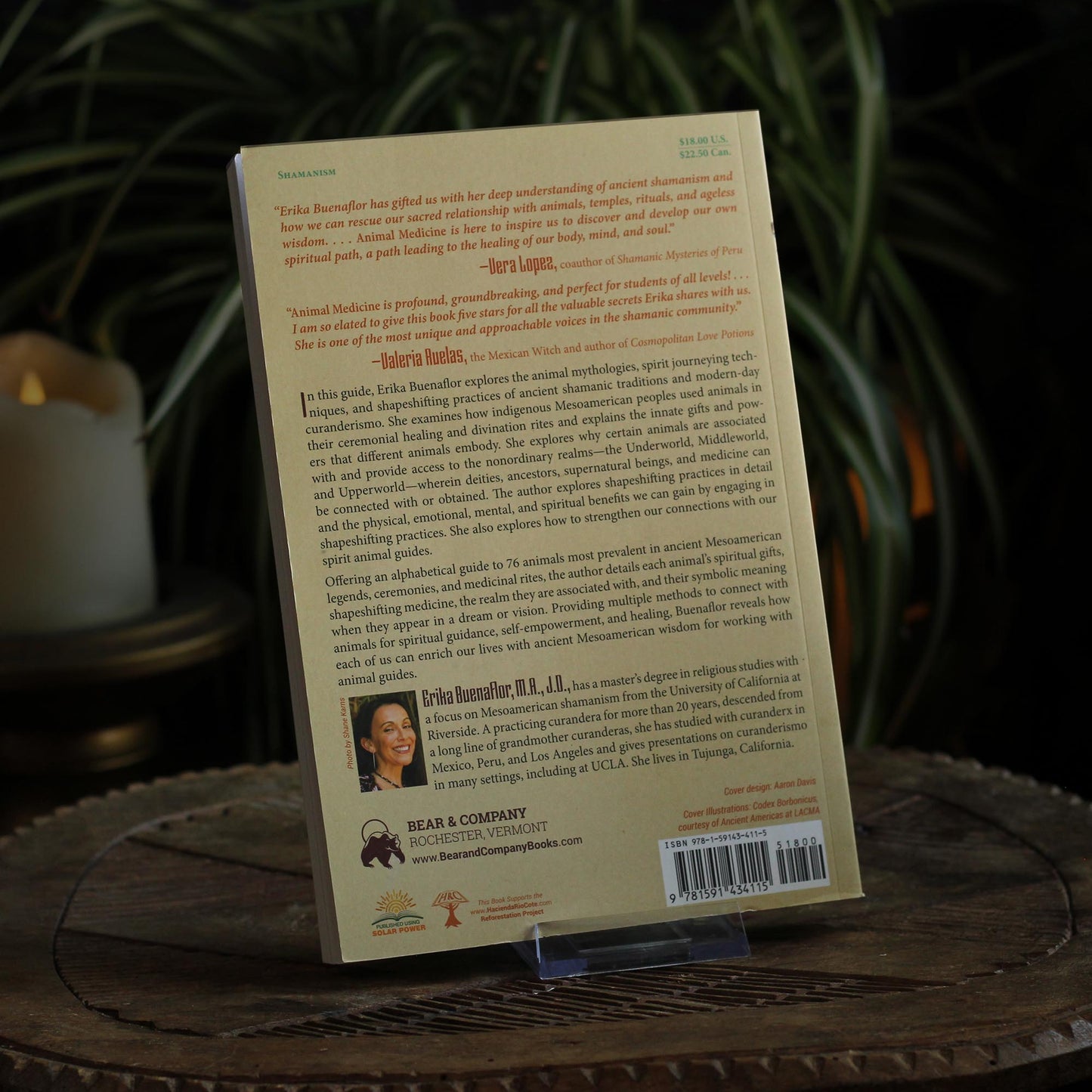 ANIMAL MEDICINE: A CURANDERISMO GUIDE TO SHAPESHIFTING, JOURNEYING, AND CONNECTING WITH ANIMAL ALLIES