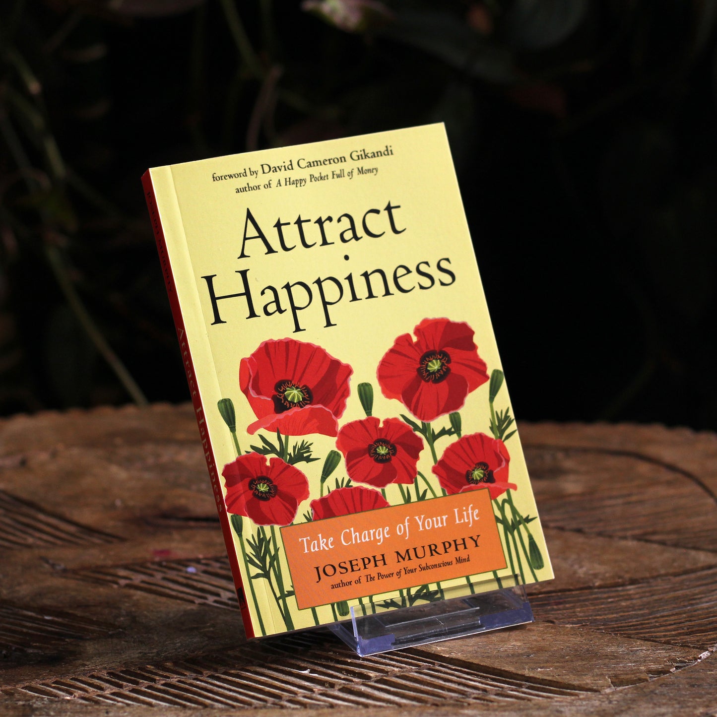 ATTRACT HAPPINESS
