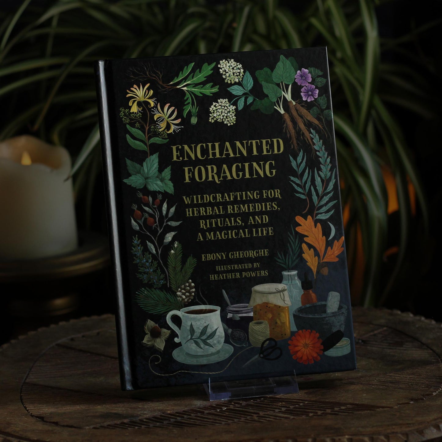 ENCHANTED FORAGING
