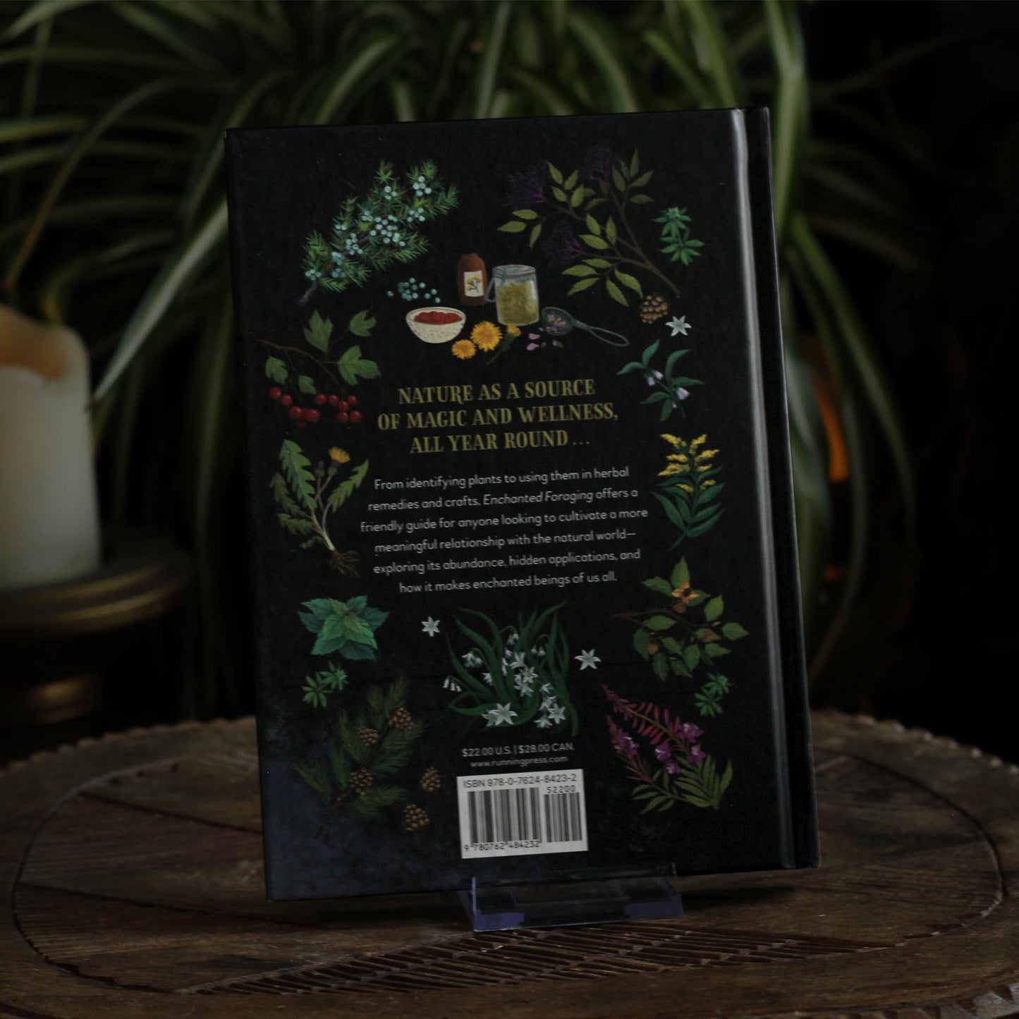 ENCHANTED FORAGING