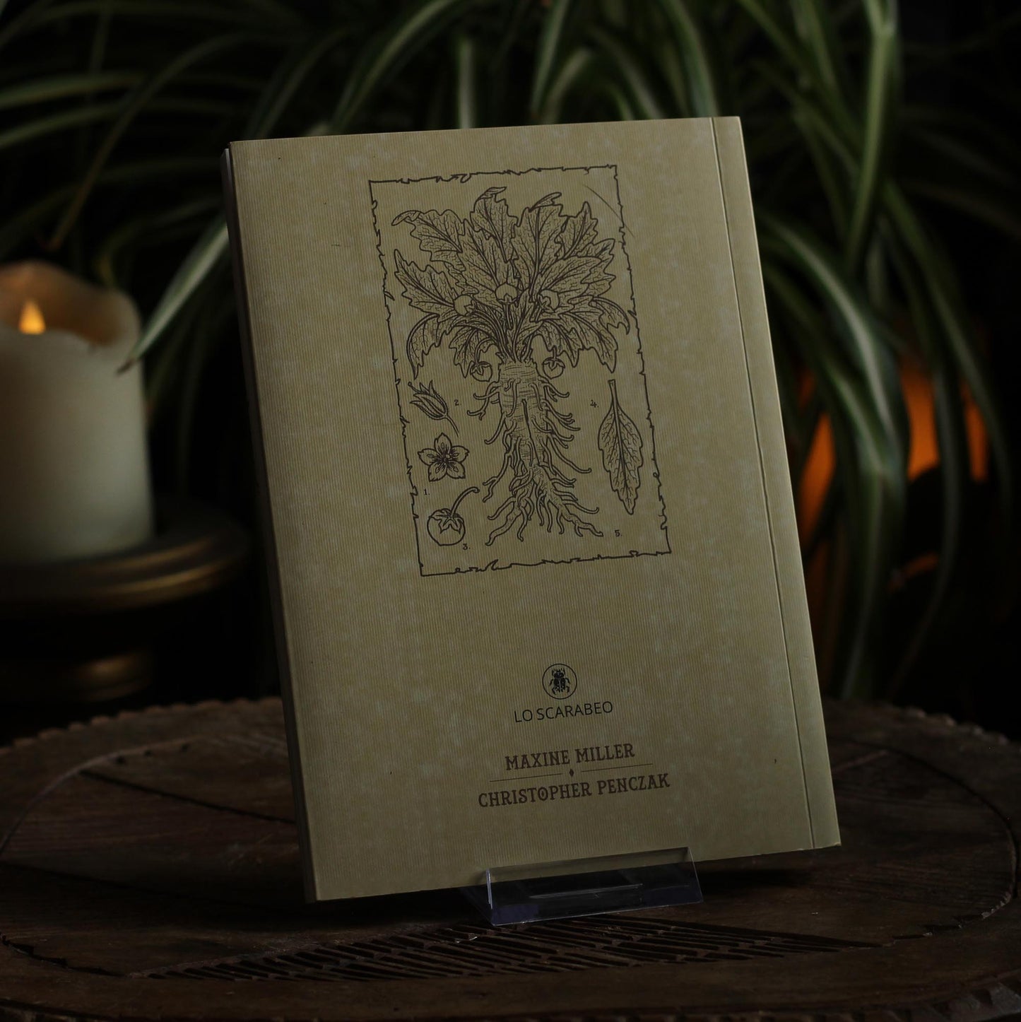 THE MAGICKAL BOTANICAL JOURNAL