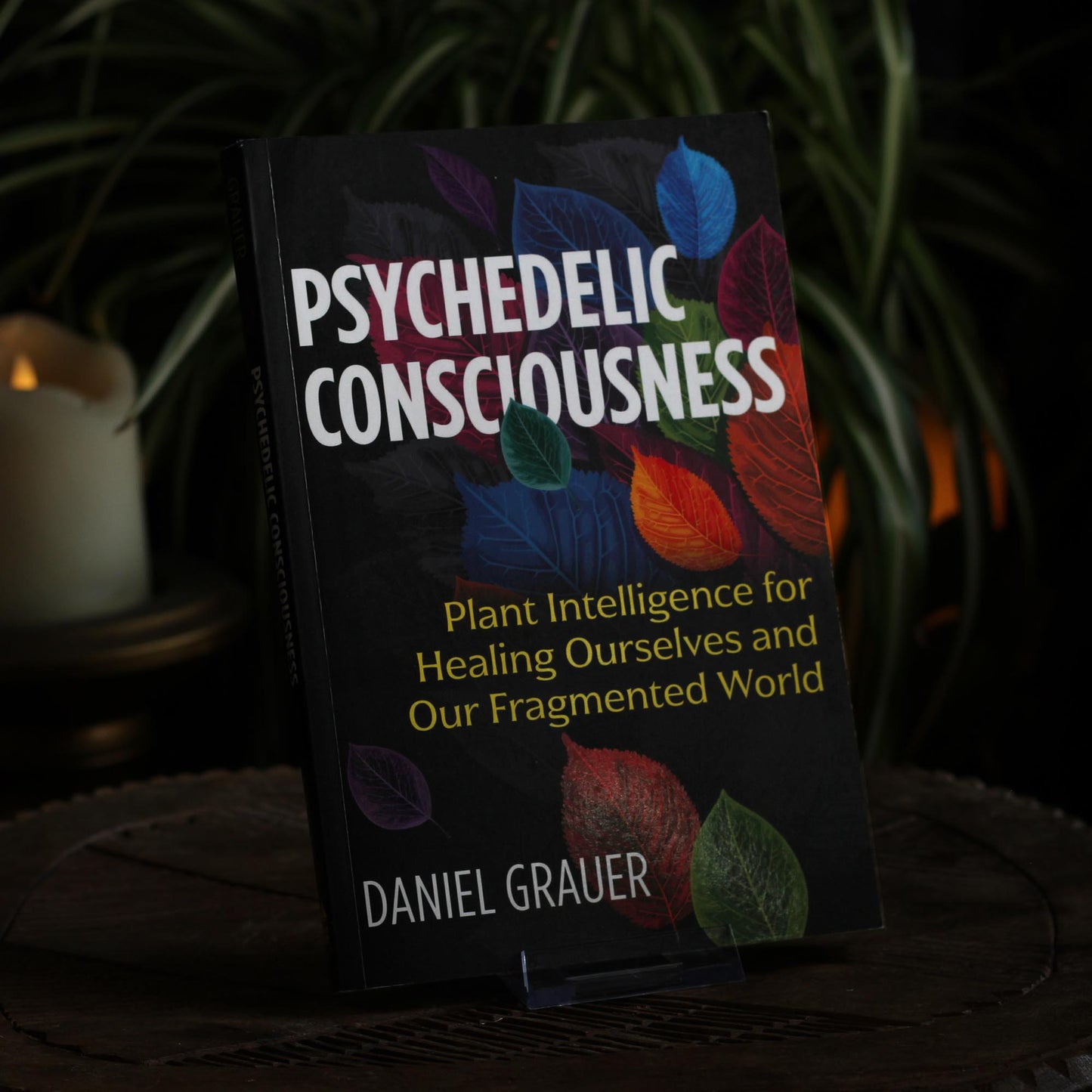 PSYCHEDELIC CONSCIOUSNESS