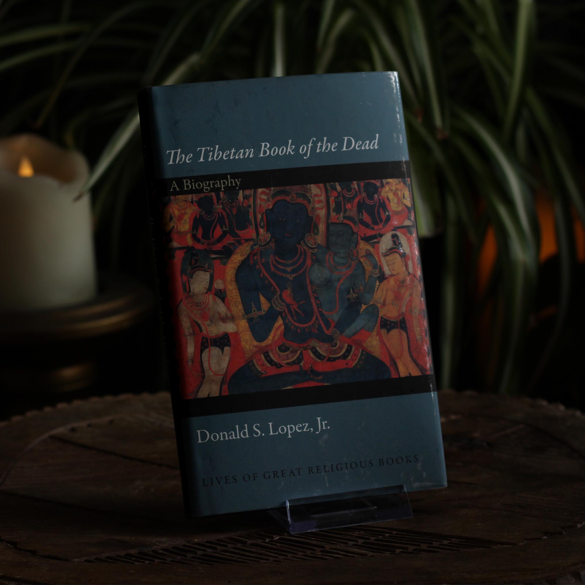 the tibetan book of the dead a biography