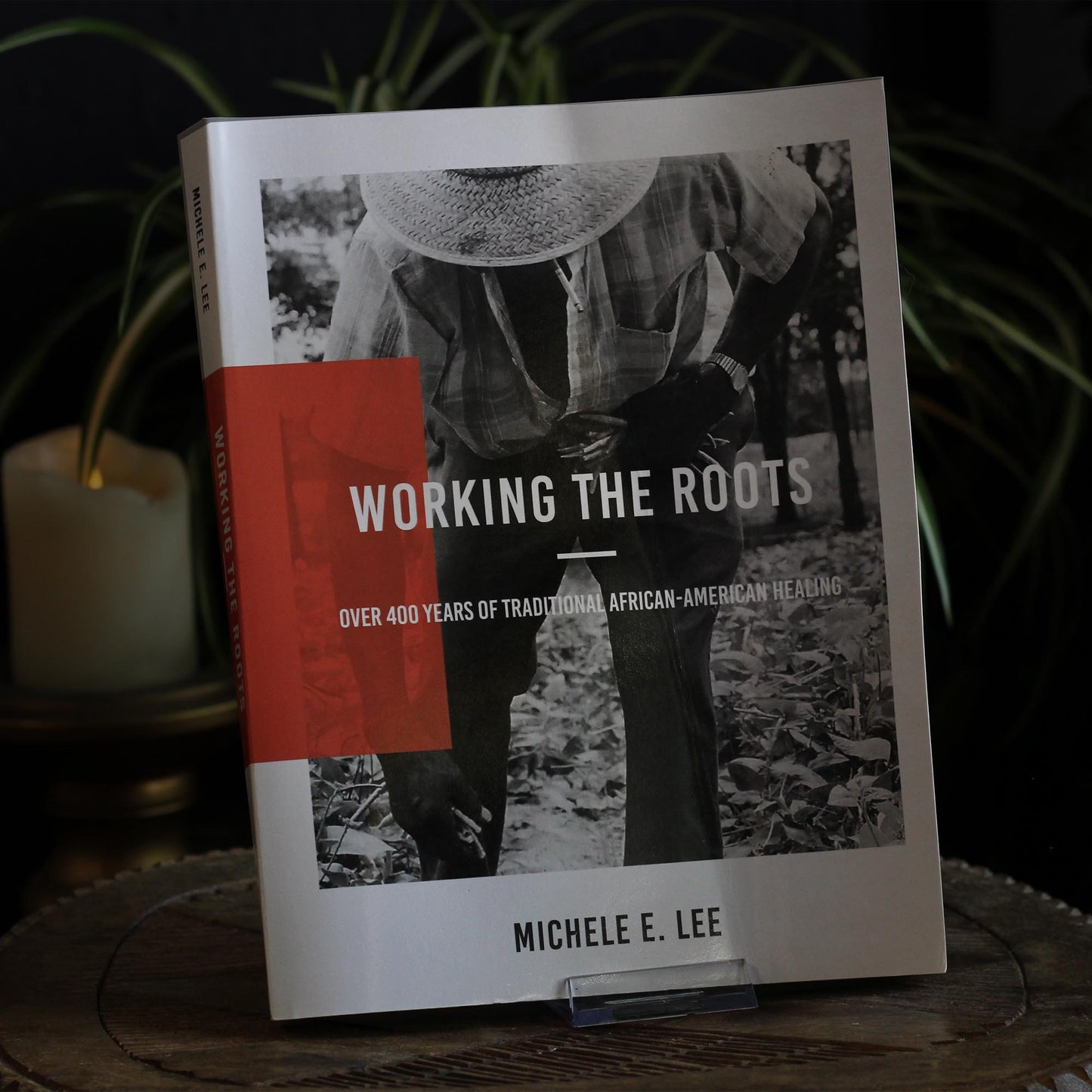 WORKING THE ROOTS