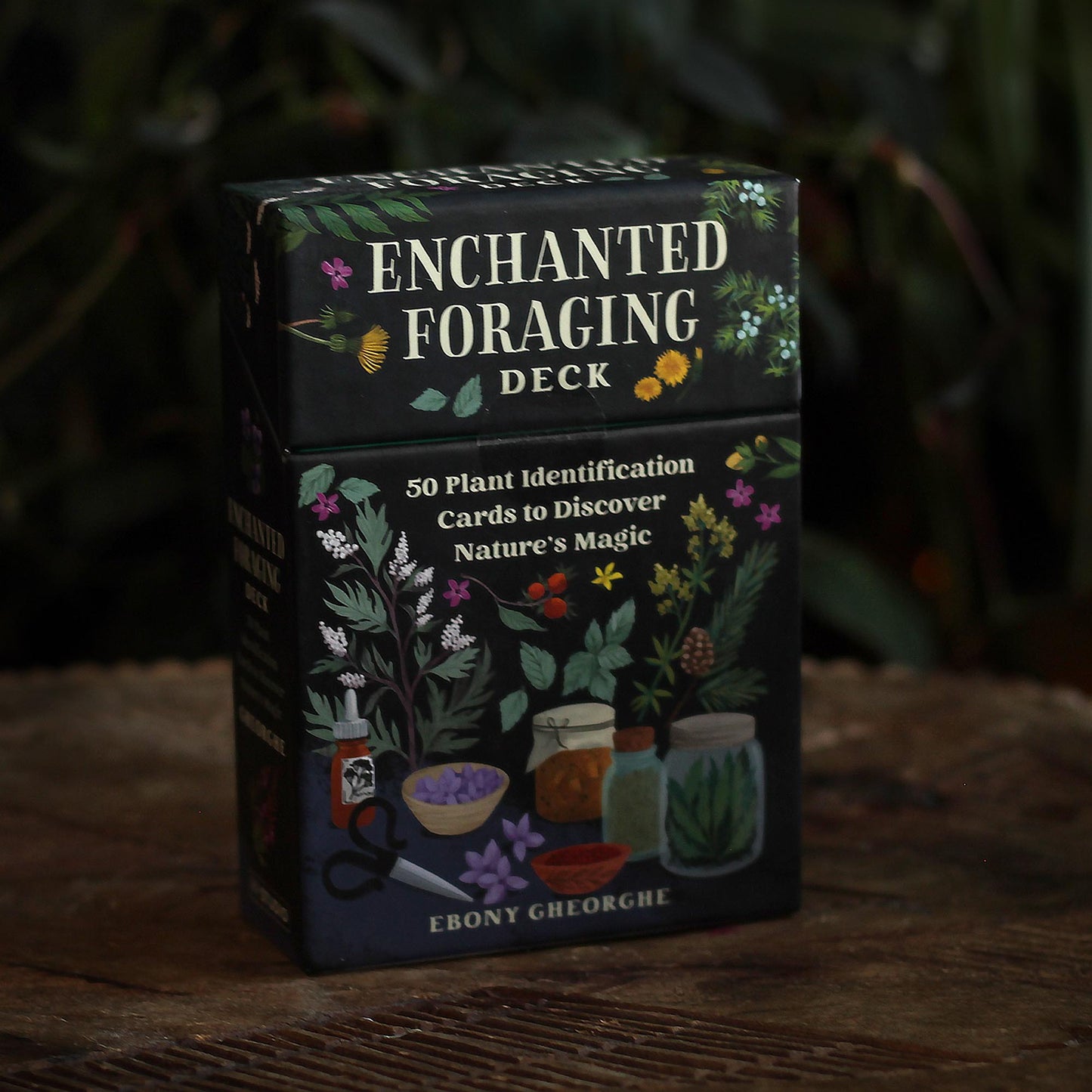 THE ENCHANTED FORAGING ORACLE DECK