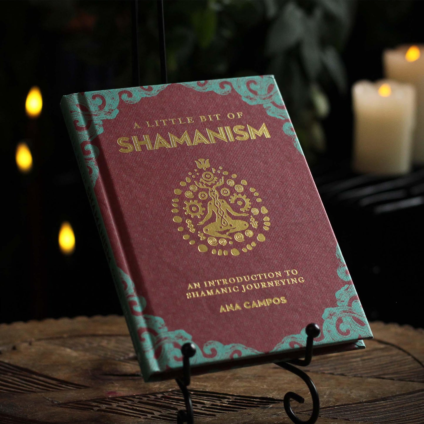 A LITTLE BIT OF SHAMANISM