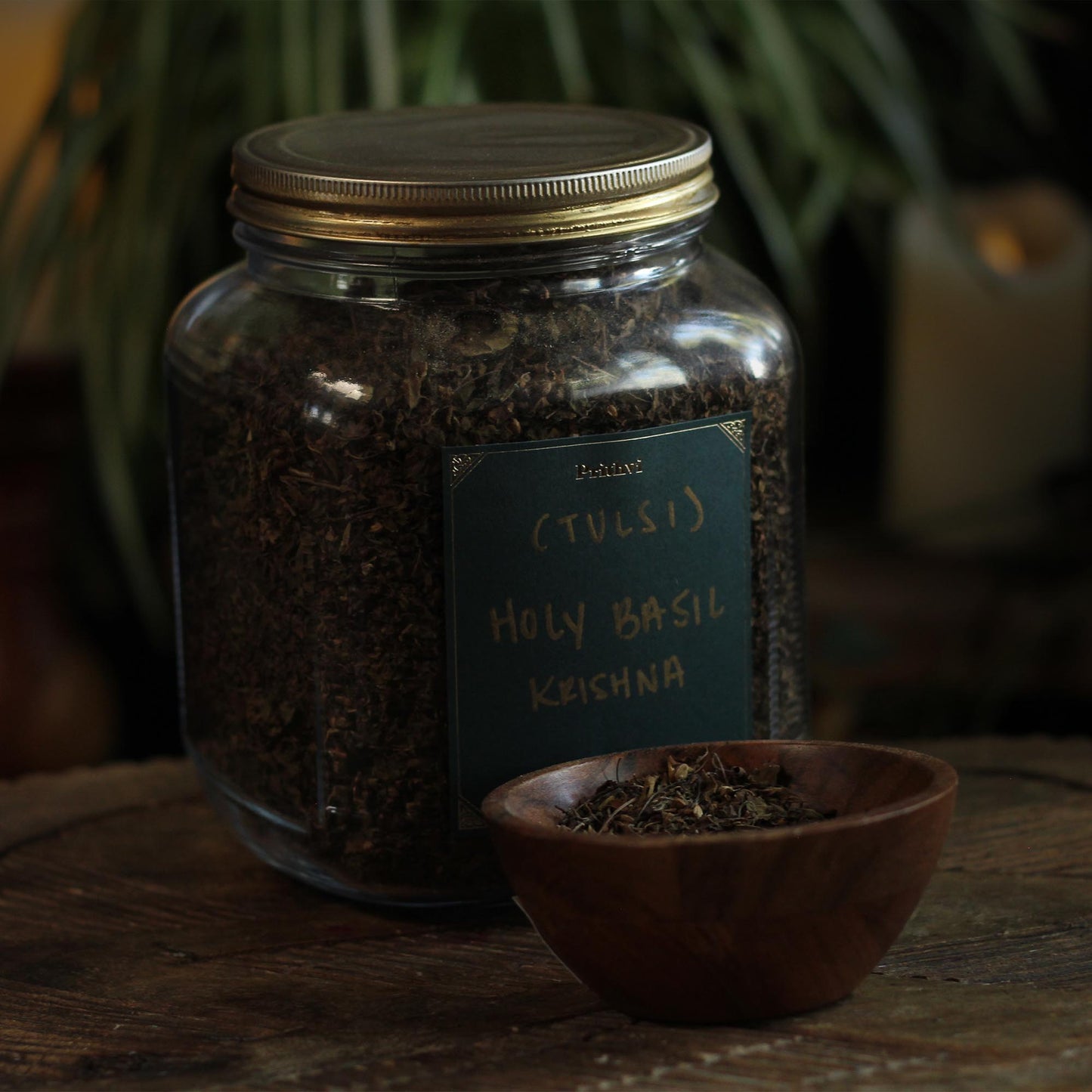 KRISHNA HOLY BASIL