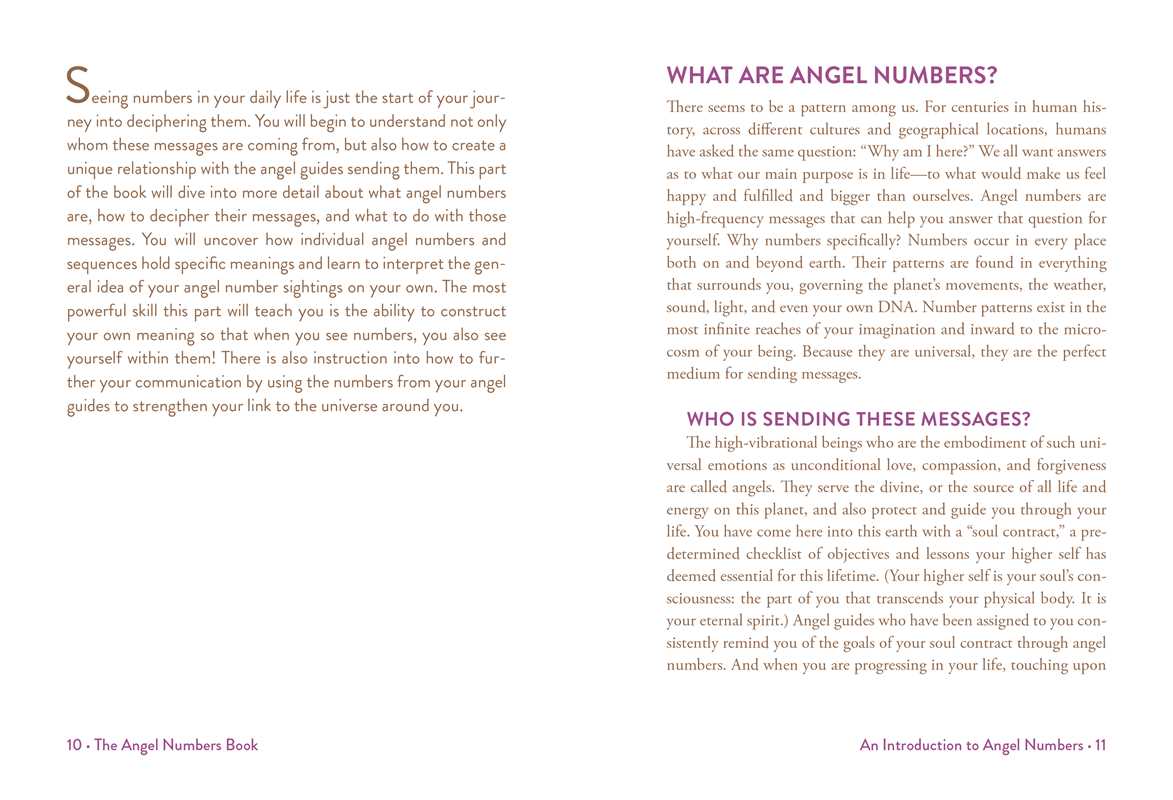 THE ANGEL NUMBERS BOOK