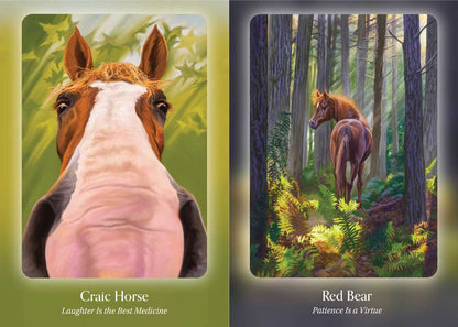 THE COUNCIL OF THE HORSES