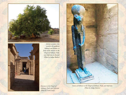 SEKHMET: TRANSFORMATION IN THE BELLY OF THE GODDESS