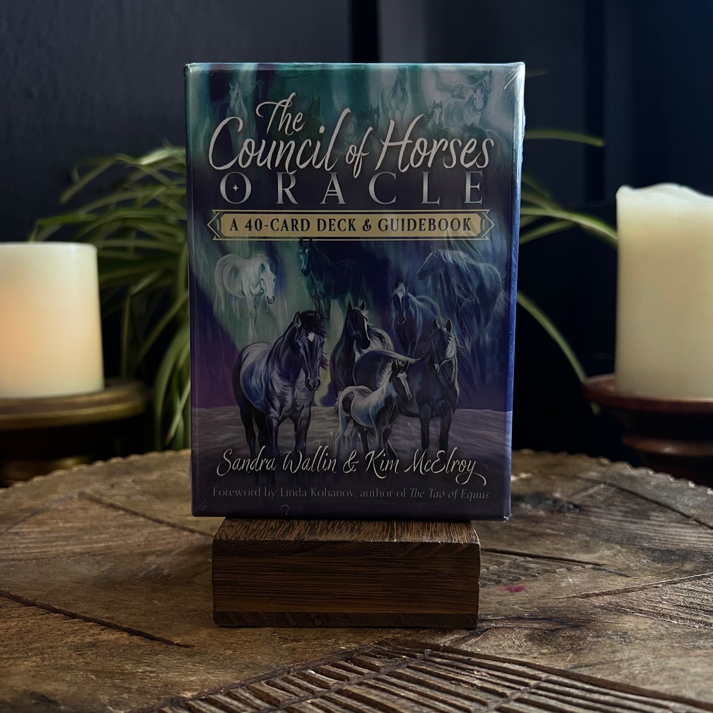 THE COUNCIL OF THE HORSES