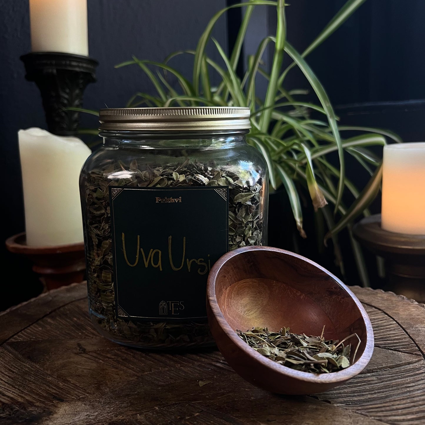 UVA URSI