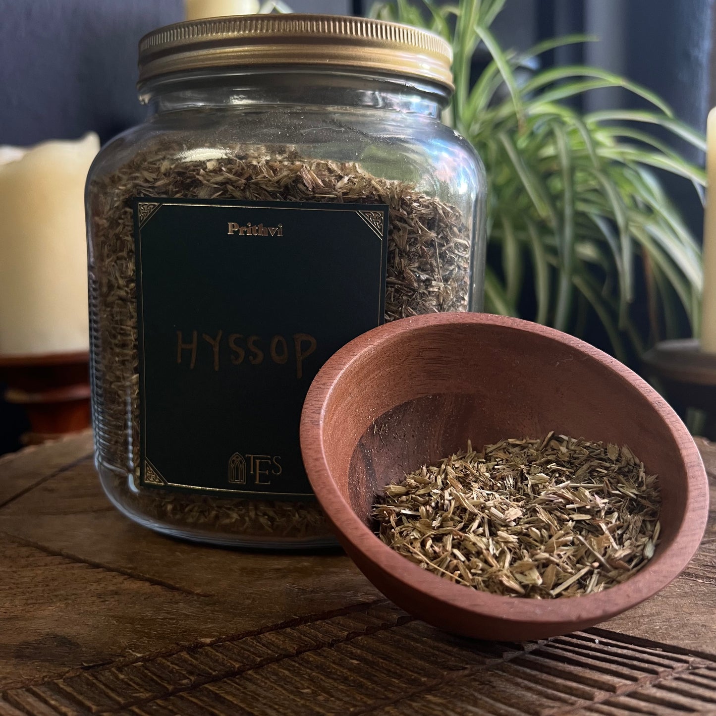 HYSSOP ORGANIC