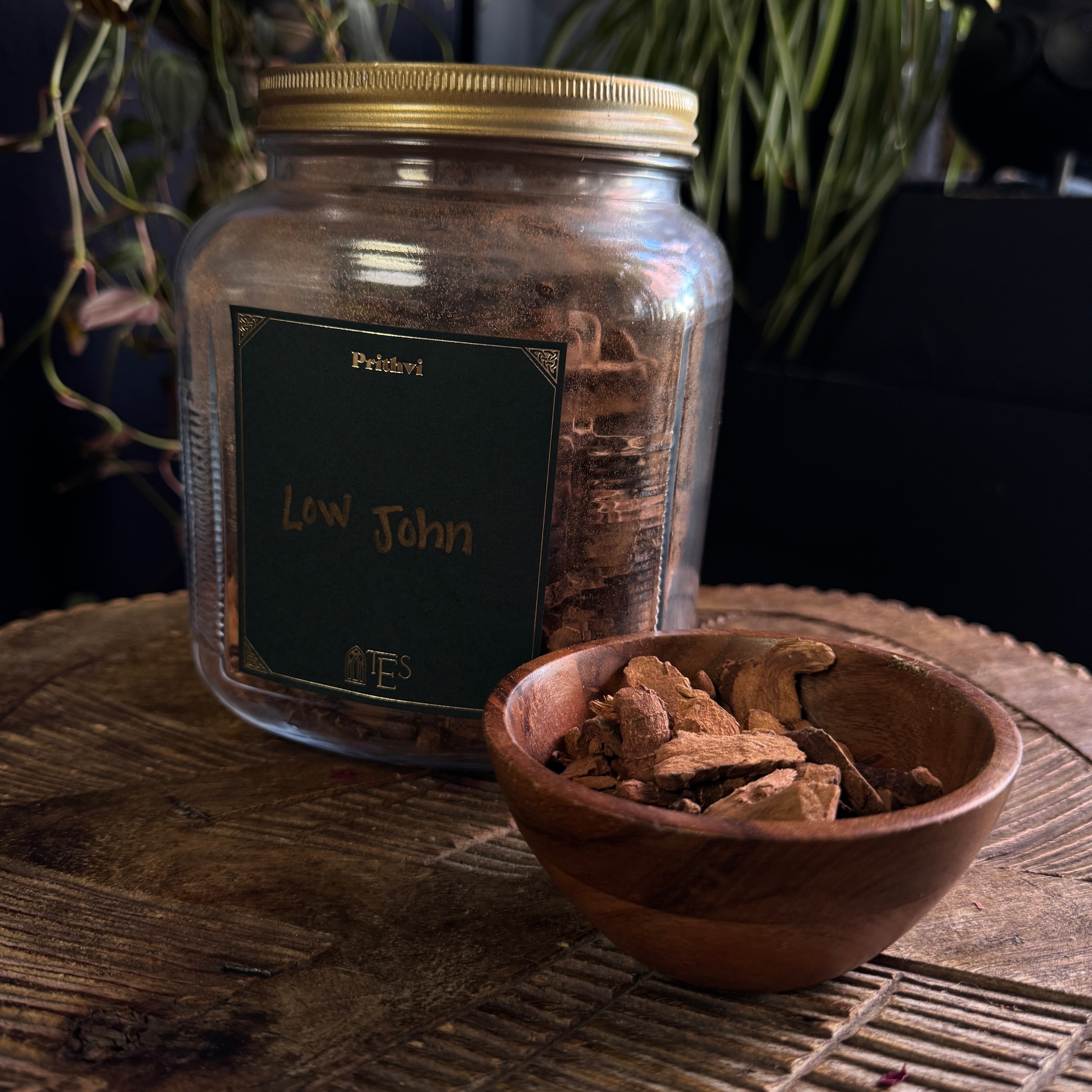 LOW JOHN GALANGAL ROOT SLICES – The Elemental Shop