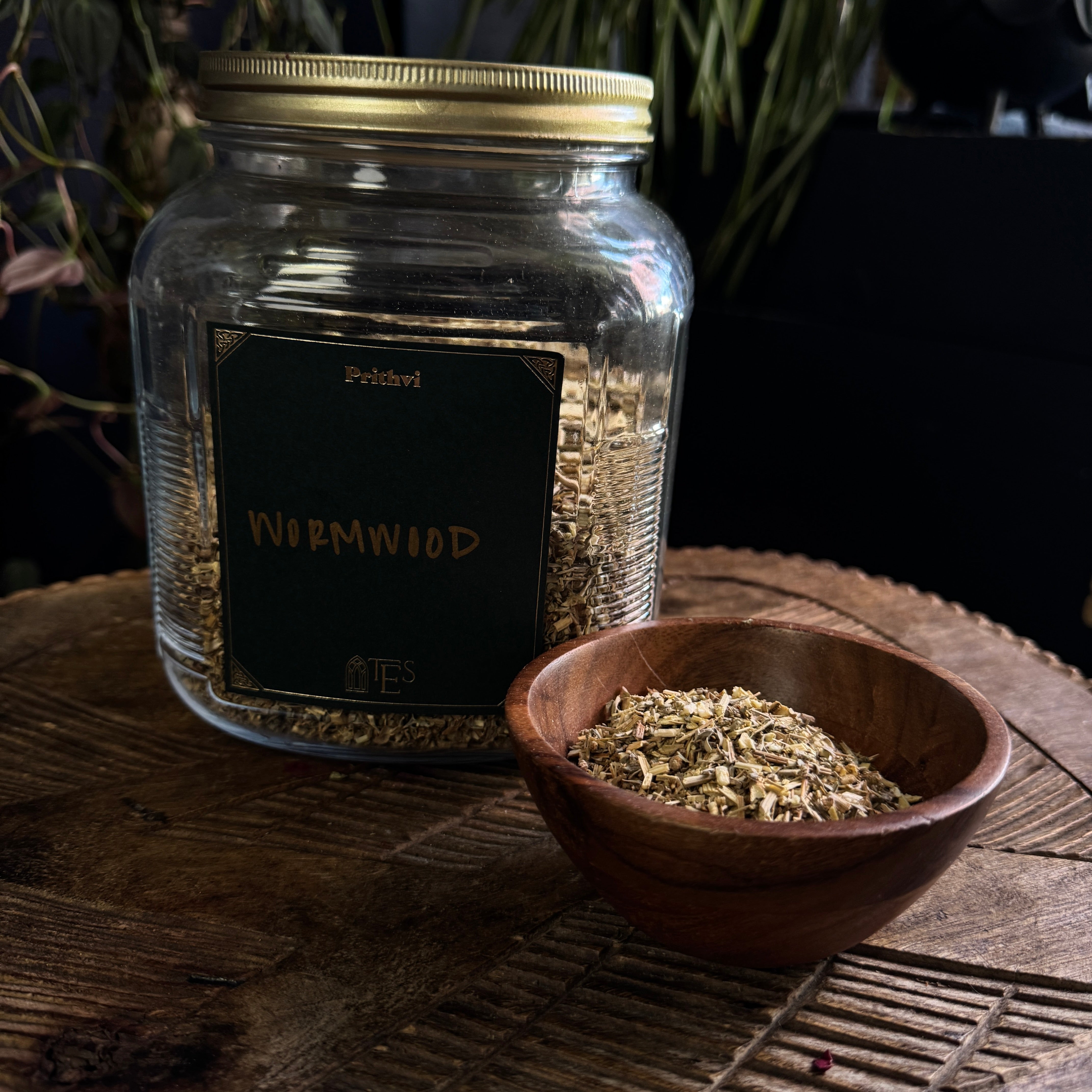 WORMWOOD – The Elemental Shop