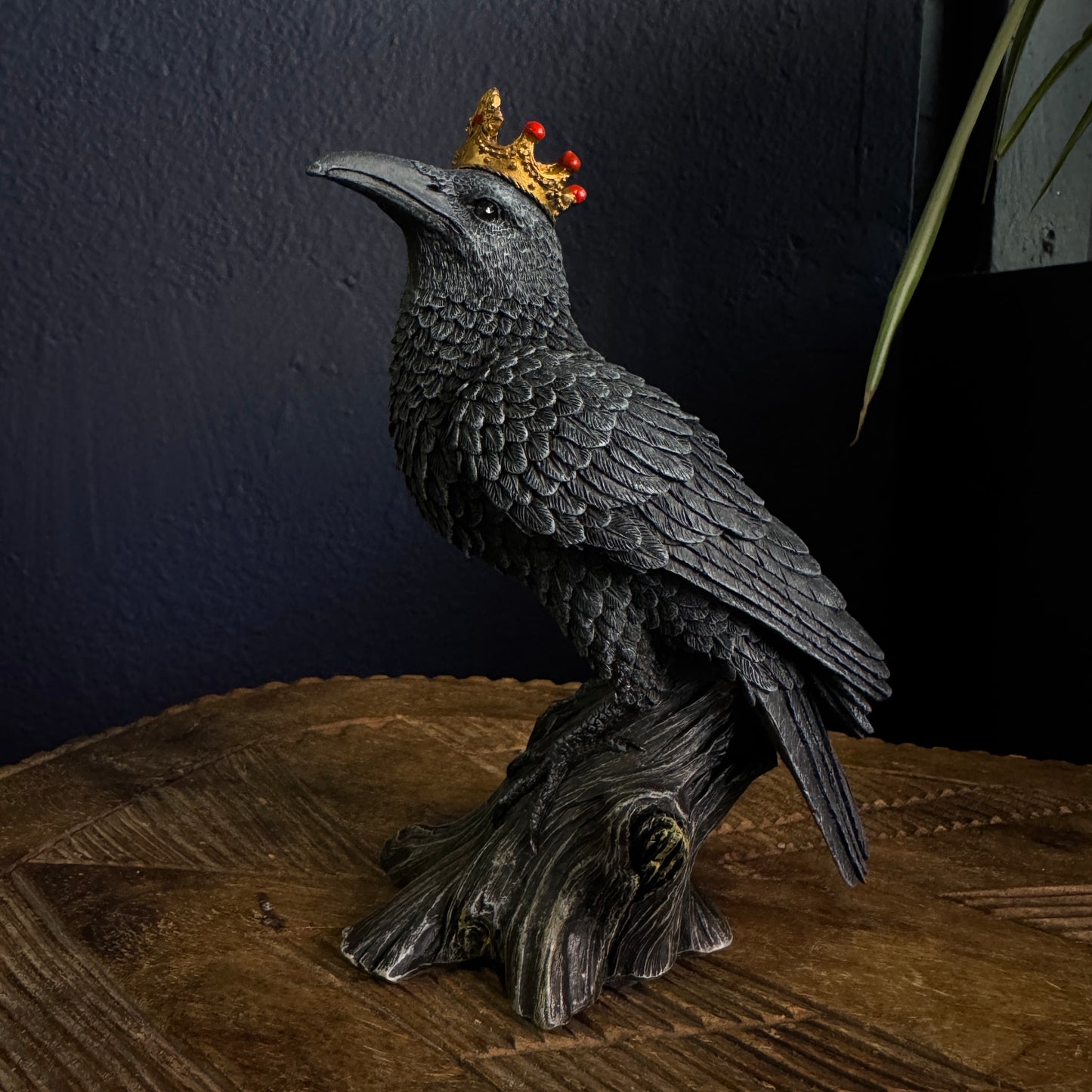 CROWNED RAVEN