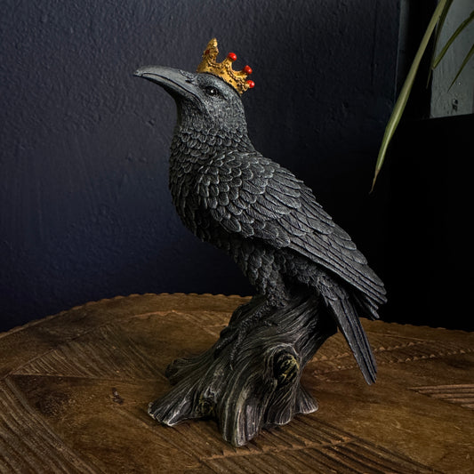 CROWNED RAVEN