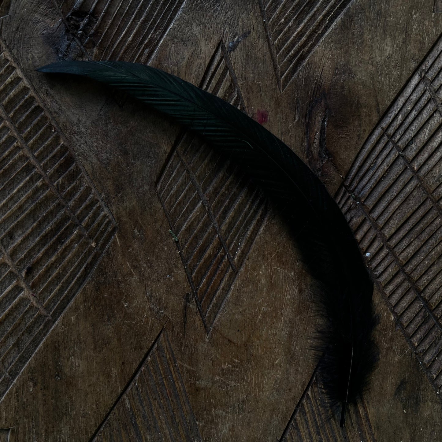 FEATHERS FOR SMUDGING