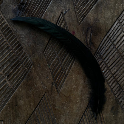 FEATHERS FOR SMUDGING