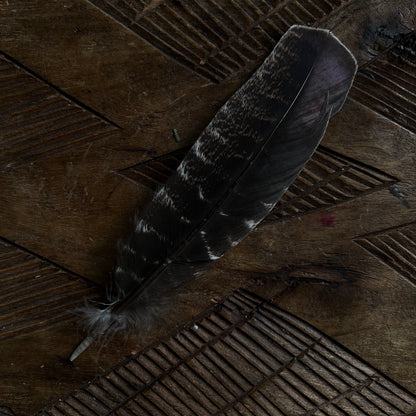 FEATHERS FOR SMUDGING