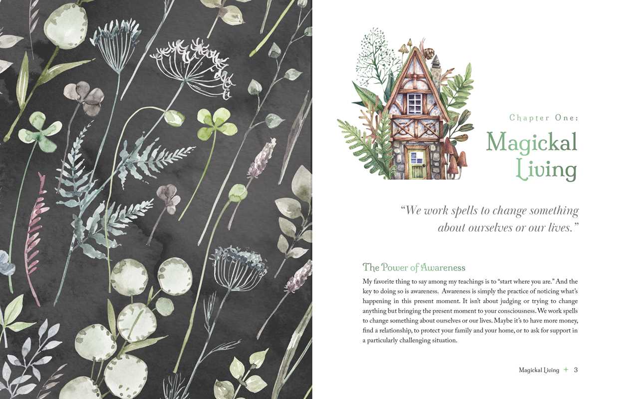 THE WITCH'S APOTHECARY