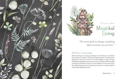 THE WITCH'S APOTHECARY
