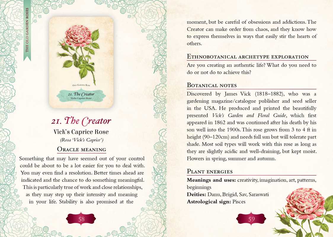 ORACLE OF THE ROSES