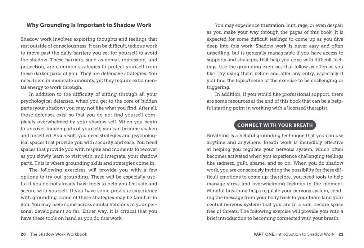 THE SHADOW WORK WORKBOOK