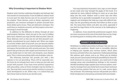 THE SHADOW WORK WORKBOOK