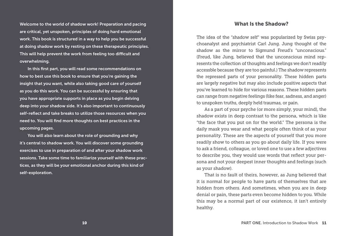 THE SHADOW WORK WORKBOOK