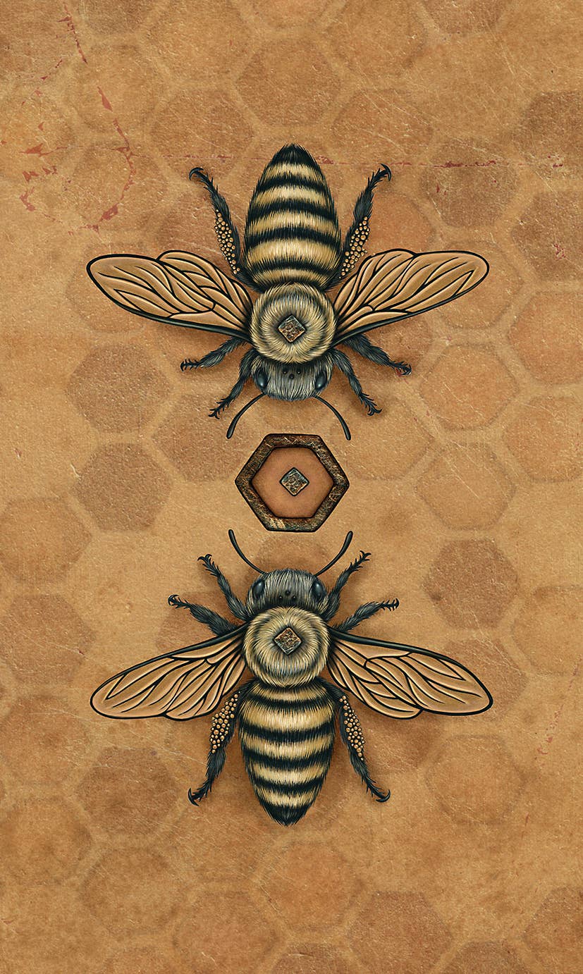 BEE TAROT