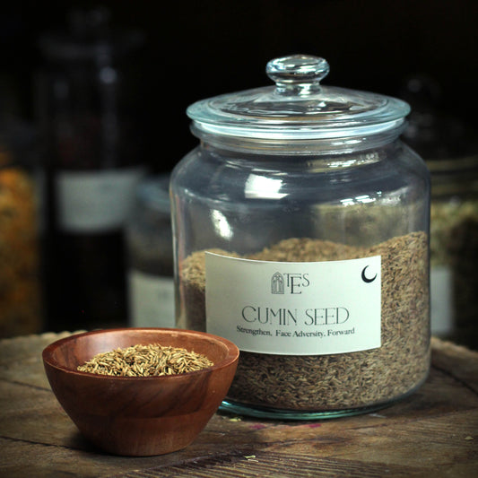 CUMIN SEED ORGANIC