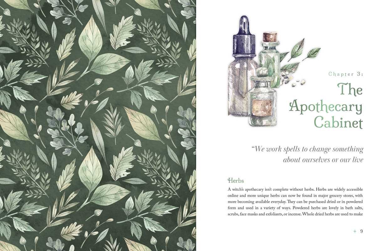 THE WITCH'S APOTHECARY