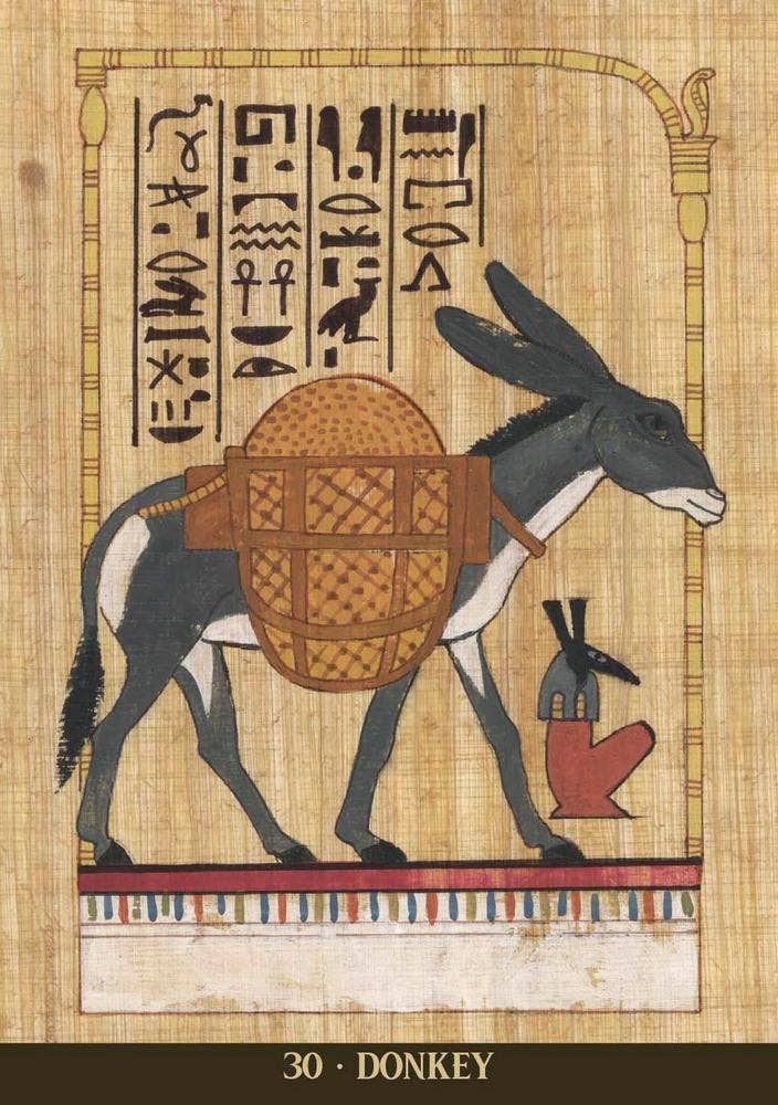 EGYPTIAN SACRED ANIMALS ORACLE
