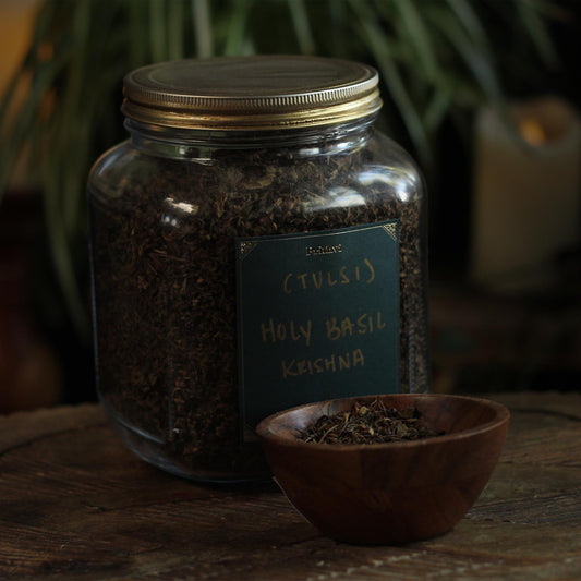 KRISHNA HOLY BASIL